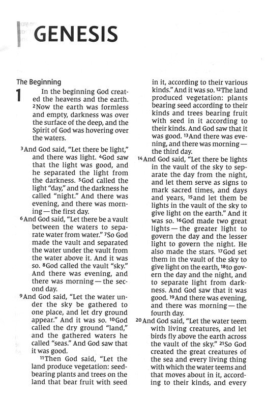 NIV, Thinline Bible, Giant Print, Leathersoft, Brown, Red Letter, Comfort Print - Imagen 4
