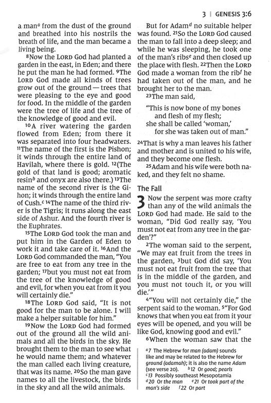 NIV, Thinline Bible, Giant Print, Leathersoft, Brown, Red Letter, Comfort Print - Imagen 6