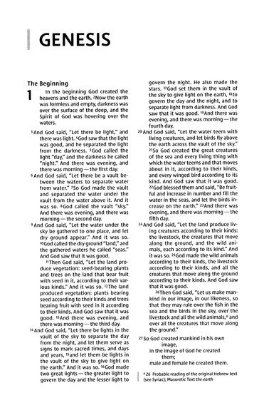 NIV, Thinline Bible, Compact, Leathersoft, Brown/White, Zippered, Red Letter, Comfort Print - Imagen 4