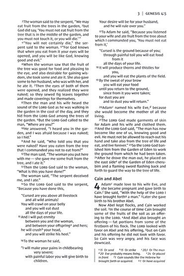 NIV, Thinline Bible, Compact, Leathersoft, Brown/White, Zippered, Red Letter, Comfort Print - Imagen 6