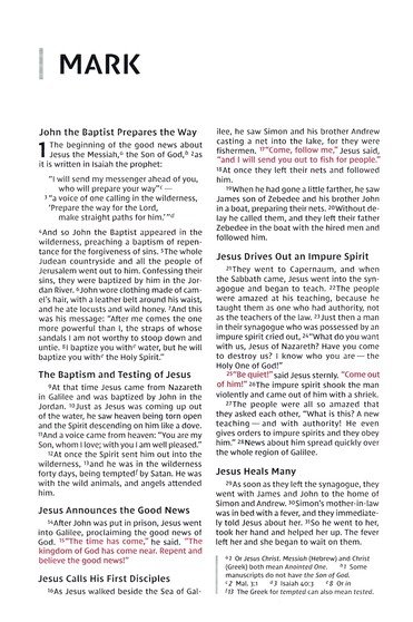 NIV, Thinline Bible, Compact, Leathersoft, Brown/White, Zippered, Red Letter, Comfort Print - Imagen 7