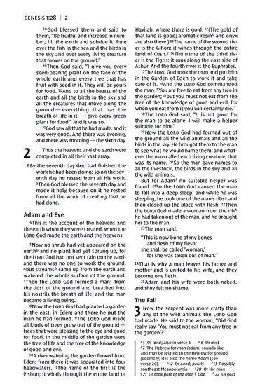 NIV, Thinline Bible, Compact, Leathersoft, Black/Gray, Red Letter, Comfort Print - Imagen 5