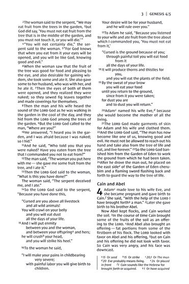 NIV, Thinline Bible, Compact, Leathersoft, Black/Gray, Red Letter, Comfort Print - Imagen 6