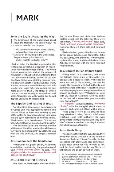 NIV, Thinline Bible, Compact, Leathersoft, Black/Gray, Red Letter, Comfort Print - Imagen 7