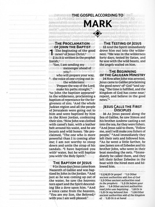 NRSVue, Holy Bible with Apocrypha, Journal Edition, Cloth over Board, Cream, Comfort Print - Imagen 7