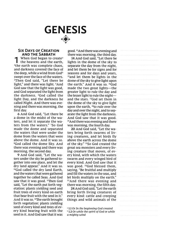 NRSVue, Holy Bible with Apocrypha, Journal Edition, Leathersoft, Black, Comfort Print - Imagen 4