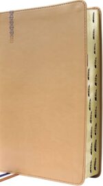 NIV, Student Bible, Personal Size, Leathersoft, Tan, Thumb Indexed, Comfort Print