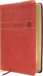 NIV, Men's Devotional Bible (By Men, for Men), Leathersoft, Brown, Comfort Print