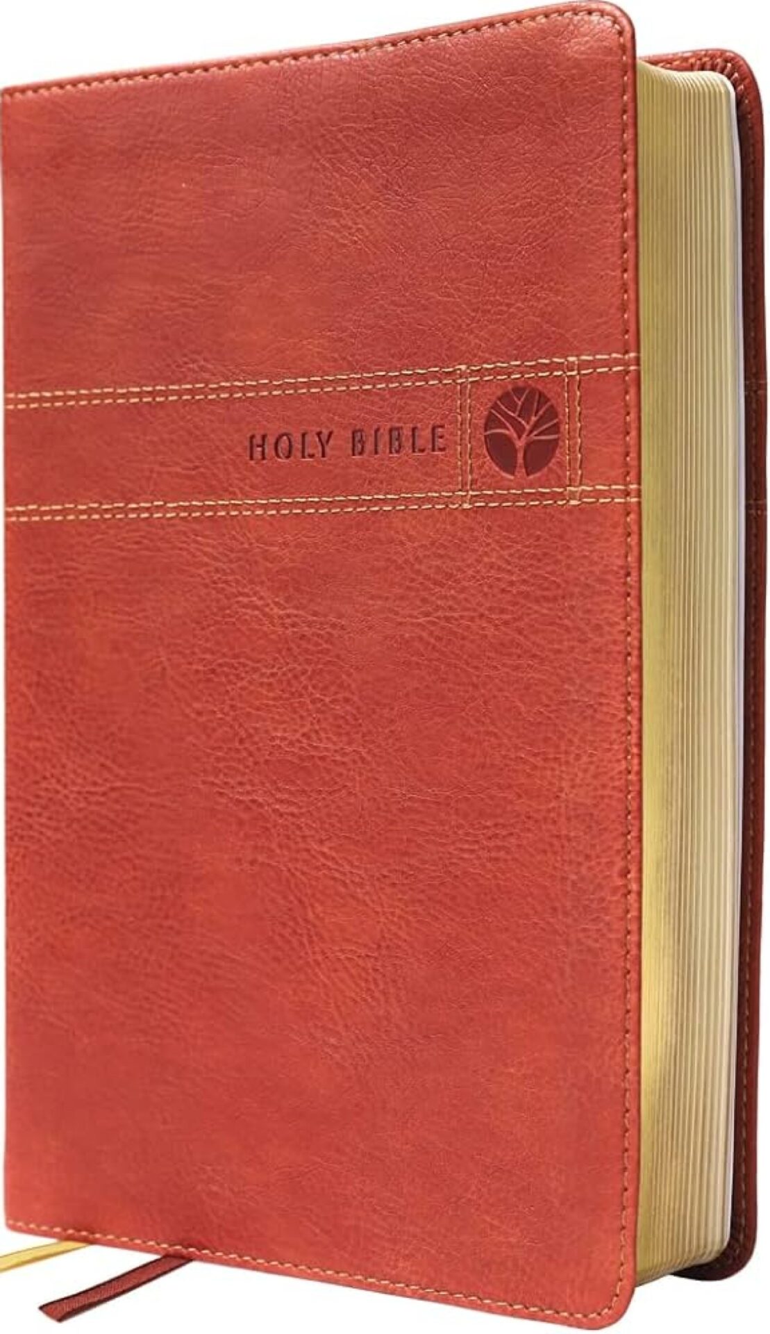 NIV, Men's Devotional Bible (By Men, for Men), Leathersoft, Brown, Comfort Print