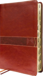 NIV, Student Bible, Leathersoft, Brown, Thumb Indexed, Comfort Print