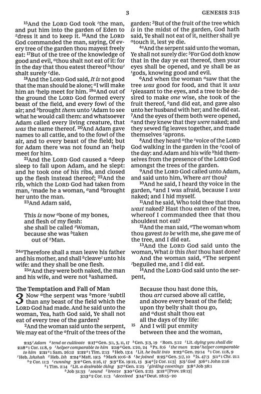 KJV, Paragraph-style Large Print Thinline Bible, Genuine Leather, Black, Red Letter, Comfort Print - Imagen 6