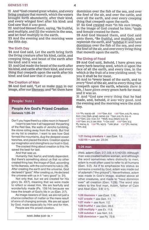 KJV, Word Study Reference Bible, Bonded Leather, Black, Red Letter, Thumb Indexed, Comfort Print : 2,000 Keywords that Unlock the Meaning of the Bible - Imagen 6