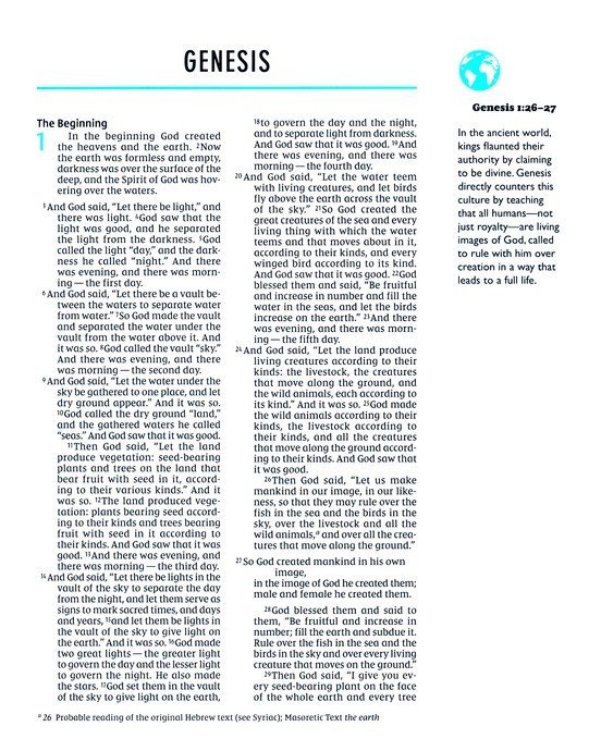 NIV, The Telos Bible, Leathersoft, Charcoal, Comfort Print - Imagen 4