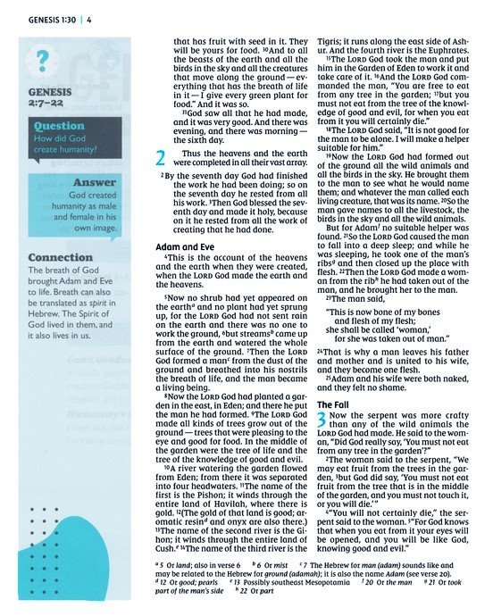 NIV, The Telos Bible, Leathersoft, Charcoal, Comfort Print - Imagen 5