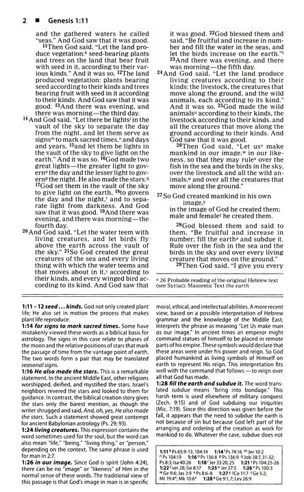 NIV, Basic Study Bible, Economy Edition, Paperback, Blue, Red Letter - Imagen 5