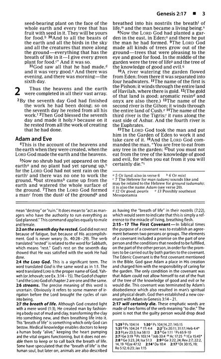 NIV, Basic Study Bible, Economy Edition, Paperback, Blue, Red Letter - Imagen 6