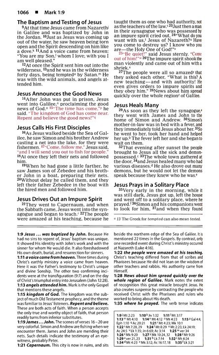 NIV, Basic Study Bible, Economy Edition, Paperback, Blue, Red Letter - Imagen 8