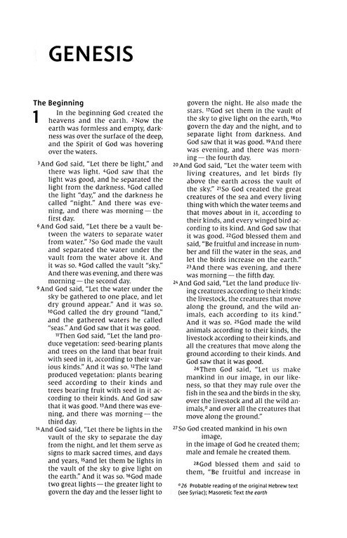 NIV, Thinline Bible, Leathersoft, Brown, Red Letter, Comfort Print - Imagen 4