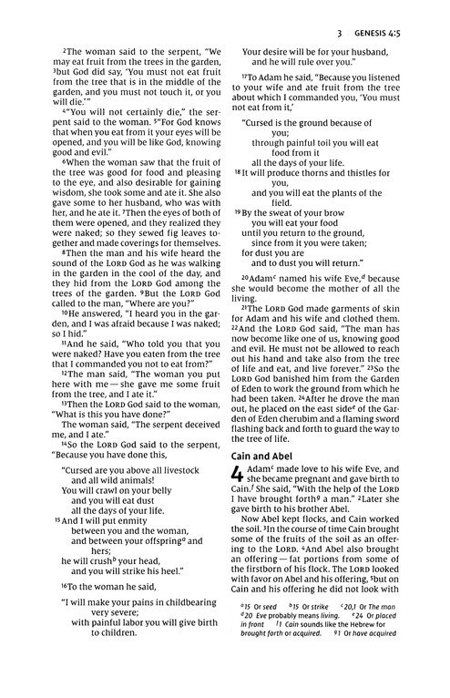NIV, Thinline Bible, Leathersoft, Brown, Red Letter, Comfort Print - Imagen 6