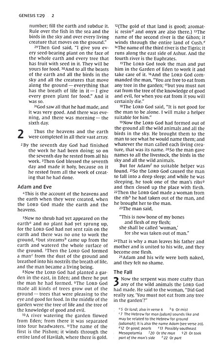 NIV, Thinline Bible, Leathersoft, Teal, Red Letter, Comfort Print - Imagen 5
