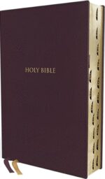 KJV, Thompson Chain-Reference Bible, Handy Size, Leathersoft, Burgundy, Red Letter, Thumb Indexed, Comfort Print