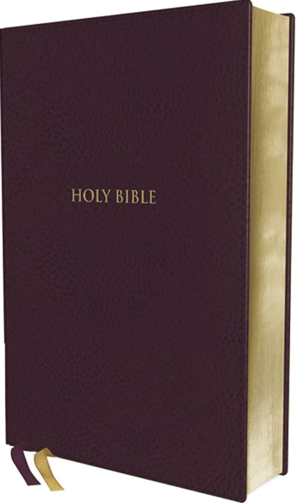 KJV, Thompson Chain-Reference Bible, Handy Size, Leathersoft, Burgundy, Red Letter, Comfort Print