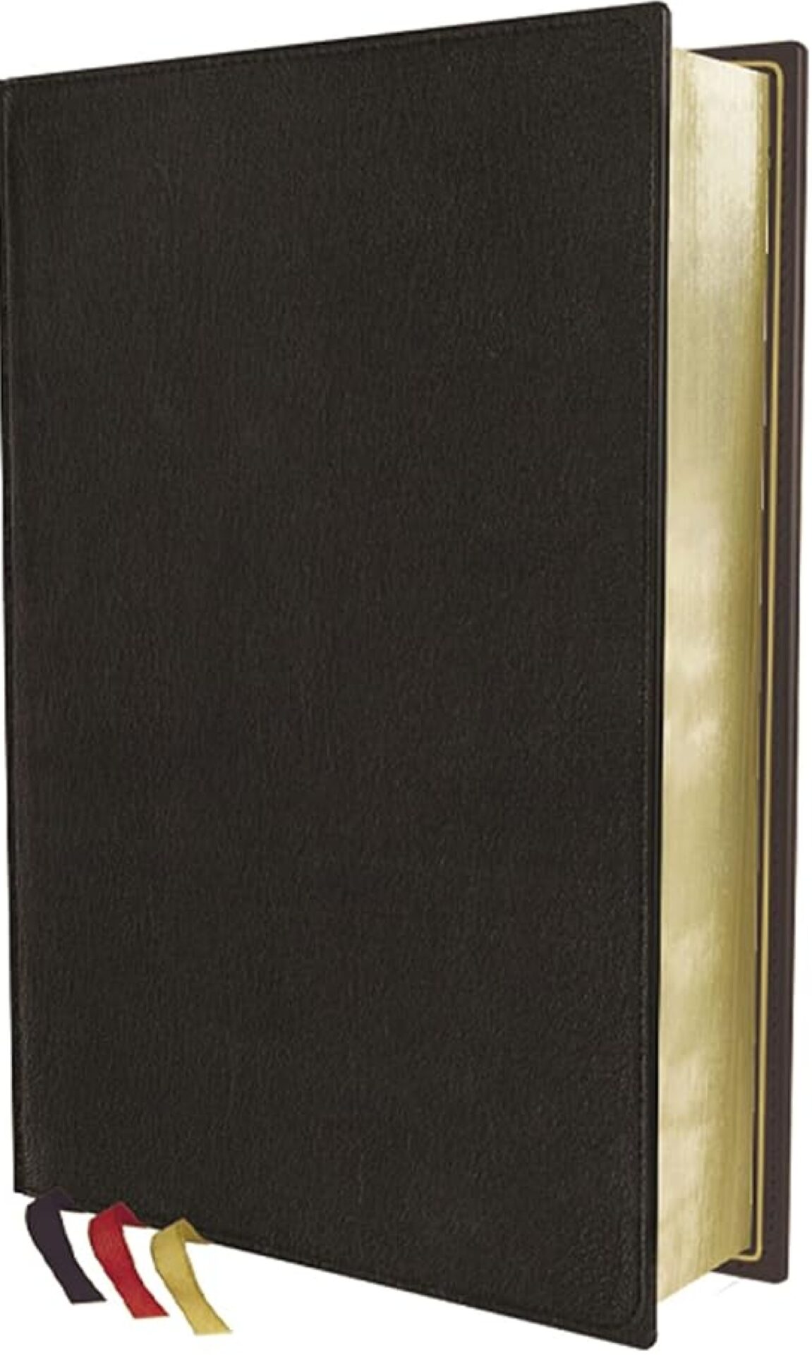 KJV, Thompson Chain-Reference Bible, Premium Goatskin Leather, Black, Premier Collection, Art Gilded Edges, Black Letter, Comfort Print