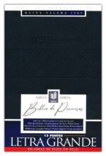 Alternative view of Santa Biblia de Promesas RVR 1960, Letra Gigante, Piel Especial, Negra