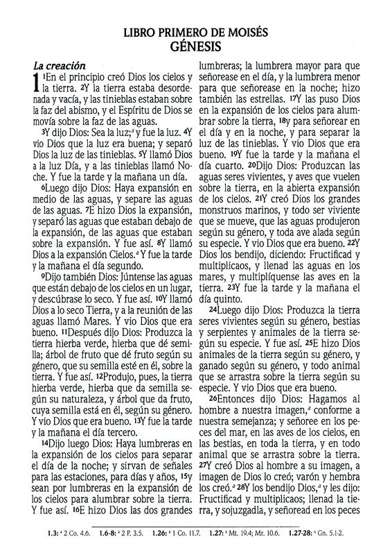 Santa Biblia de Promesas Reina Valera 1960 Letra Gigante Piel Especial Con Cierre Turquesa - Imagen 5