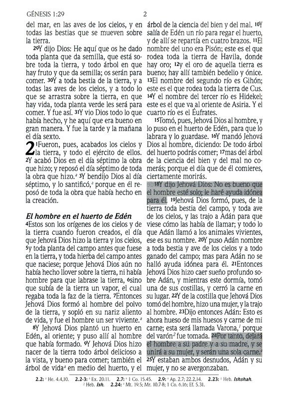 Santa Biblia de Promesas RVR-1960, Letra Gigante, Piel Especial, Turquesa - Imagen 6