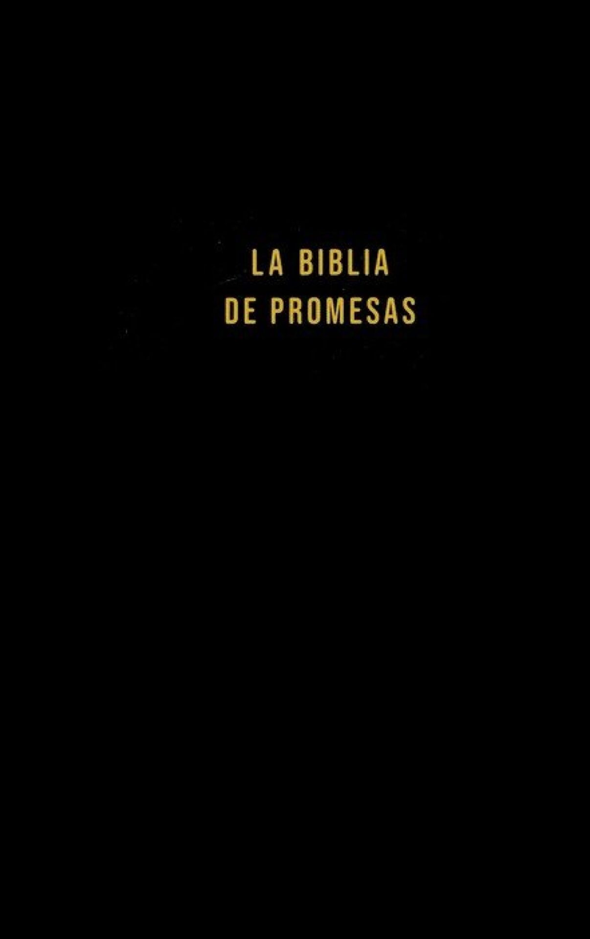 Santa Biblia de Promesas NVI, Tapa Dura, Negra