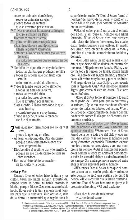 Santa Biblia de Promesas NVI, Tapa Dura, Negra - Imagen 4