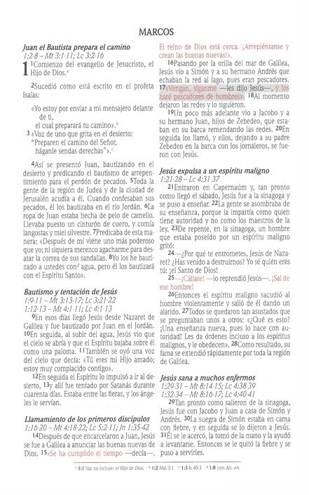 Santa Biblia de Promesas NVI, Tapa Dura, Negra - Imagen 6