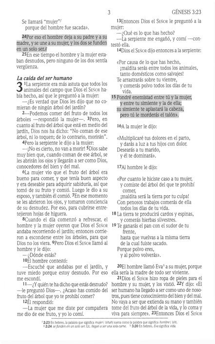 Santa Biblia de Promesas NVI, Tapa Dura, Rosada - Imagen 4