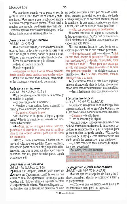 Santa Biblia de Promesas NVI, Tapa Dura, Rosada - Imagen 6