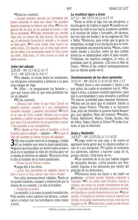 Santa Biblia de Promesas NVI, Tapa Dura, Rosada - Imagen 7