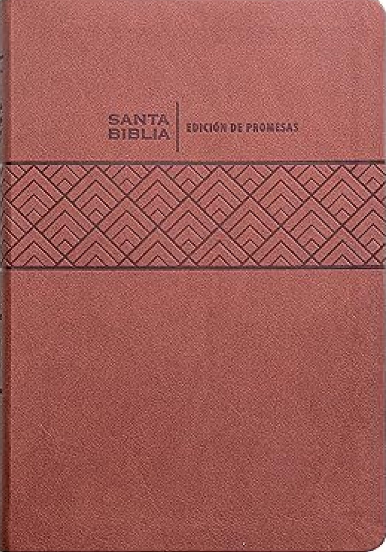 Santa Biblia de Promesas Reina Valera 1960 Letra Gigante Piel Especial Café