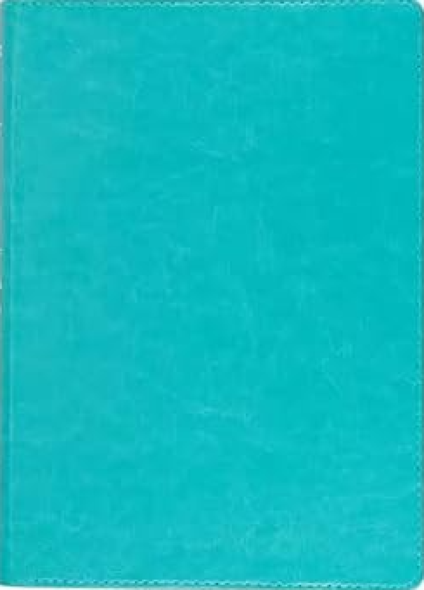 Biblia NVI Letra Gigante Imitación Piel Aguamarina con Cierre