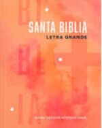 Santa Biblia NVI Manual Letra Grande  Tapa Blanda Naranja