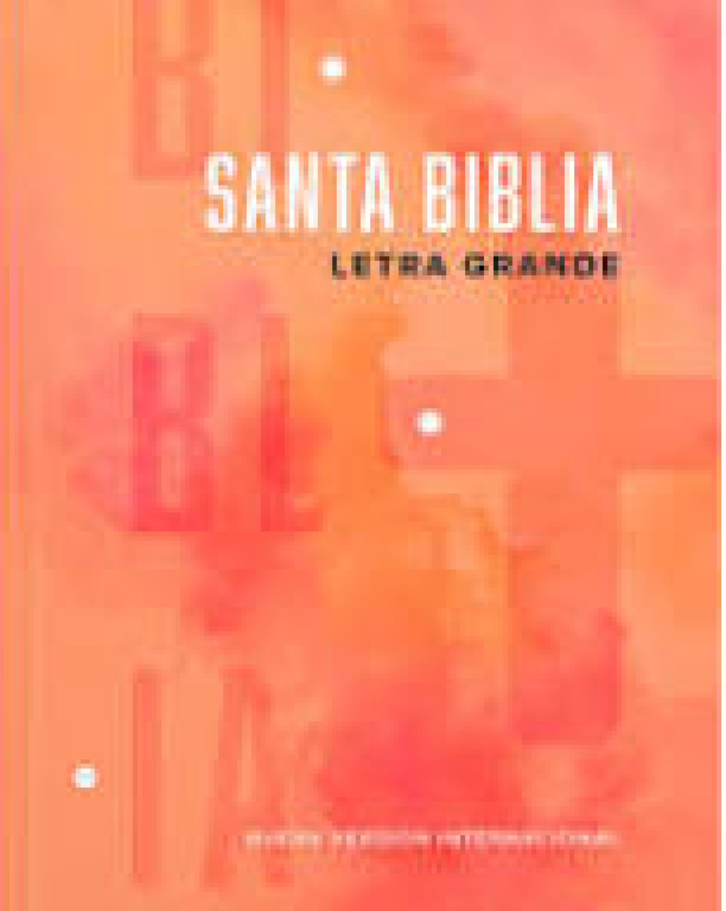 Santa Biblia NVI Manual Letra Grande Tapa Blanda Naranja