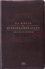 Biblia De Estudio Hispanoamericana Traducción Interconfesional Imitación Piel Granate