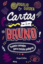 Cartas A Bruno - Tapa Blanda - Rogelio Guedea