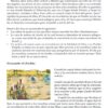 Devocional Para La Familia - Tomo 2 -  Tapa Blanda - Michael Grady - Imagen 12