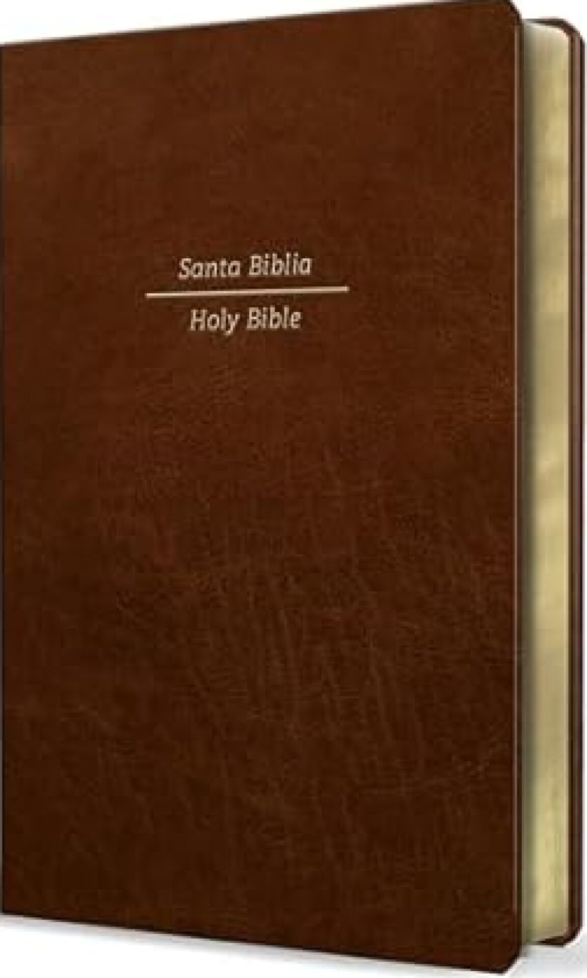 Biblia Bilingüe Reina Valera 1960/ESV English Standard Version - Letra Gigante Imitación Piel Marrón
