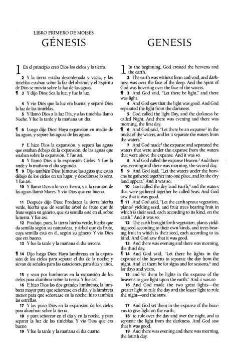 Biblia Bilingüe RVR60 / ESV Imitación Piel Marrón - Imagen 4