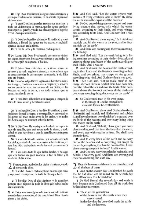 Biblia Bilingüe RVR60 / ESV Imitación Piel Marrón - Imagen 5