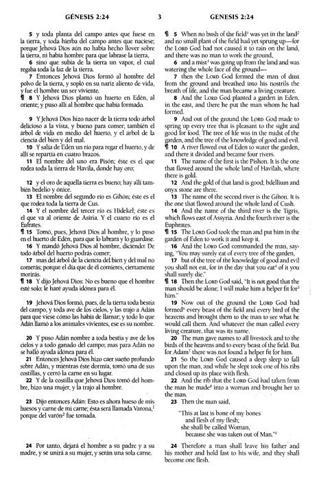 Biblia Bilingüe RVR60 / ESV Imitación Piel Marrón - Imagen 6