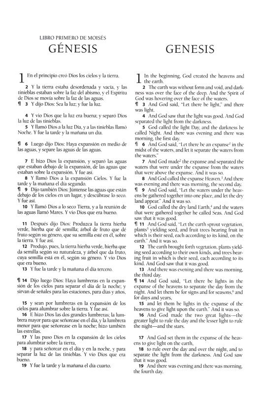Biblia Bilingüe Reina Valera 1960/ESV Letra Grande Tapa Dura Marrón - Imagen 6
