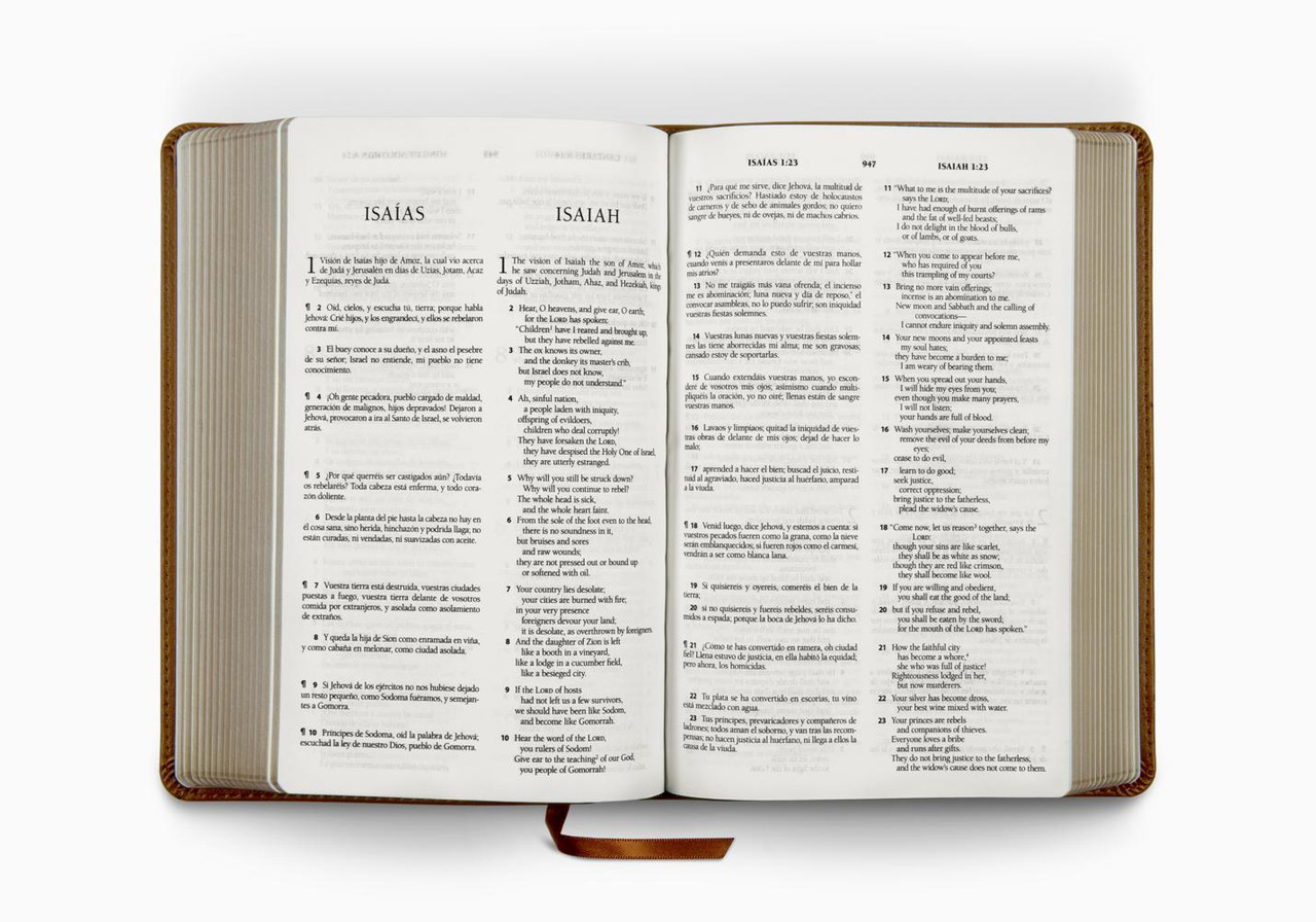 Biblia Bilingüe Reina Valera 1960/ESV English Standard Version - Letra Gigante Imitación Piel Marrón - Imagen 3
