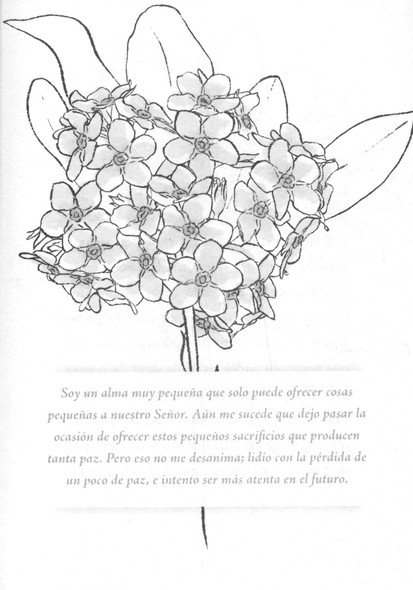 El Camino Pequeño - Tapa Blanda - Thérèse of Lisieux - Imagen 8